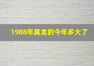 1988年属龙的今年多大了