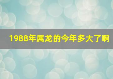 1988年属龙的今年多大了啊