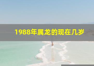 1988年属龙的现在几岁