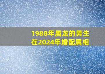 1988年属龙的男生在2024年婚配属相