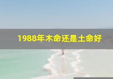 1988年木命还是土命好