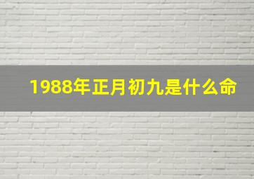 1988年正月初九是什么命