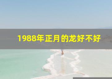 1988年正月的龙好不好