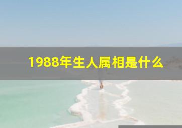 1988年生人属相是什么