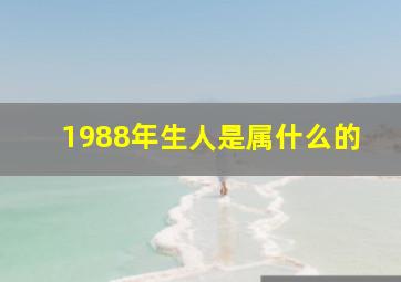 1988年生人是属什么的