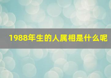 1988年生的人属相是什么呢