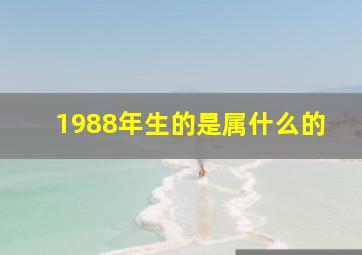 1988年生的是属什么的