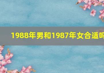 1988年男和1987年女合适吗