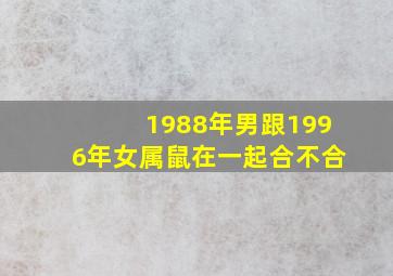 1988年男跟1996年女属鼠在一起合不合