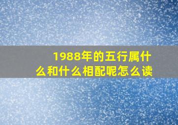 1988年的五行属什么和什么相配呢怎么读