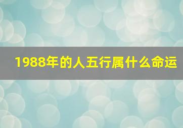 1988年的人五行属什么命运