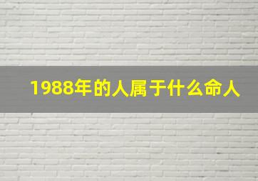 1988年的人属于什么命人