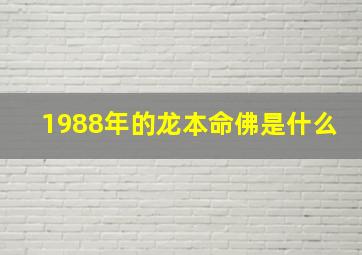 1988年的龙本命佛是什么