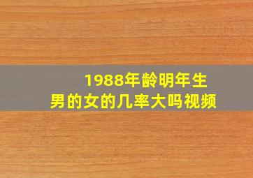 1988年龄明年生男的女的几率大吗视频