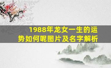 1988年龙女一生的运势如何呢图片及名字解析