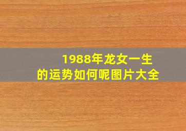 1988年龙女一生的运势如何呢图片大全