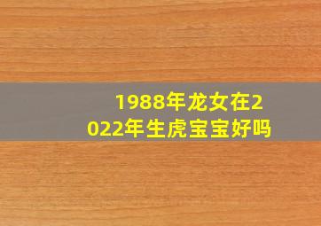 1988年龙女在2022年生虎宝宝好吗