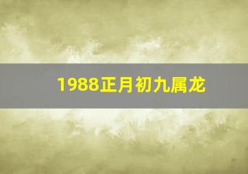 1988正月初九属龙