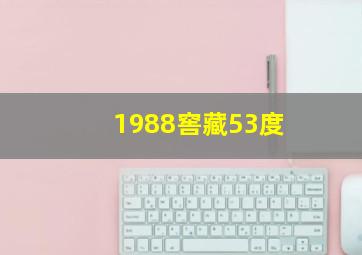 1988窖藏53度