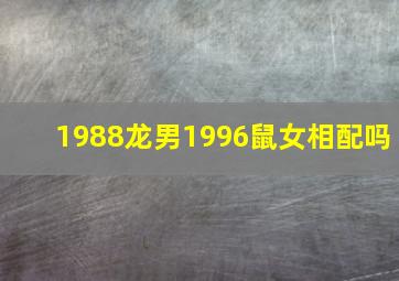 1988龙男1996鼠女相配吗