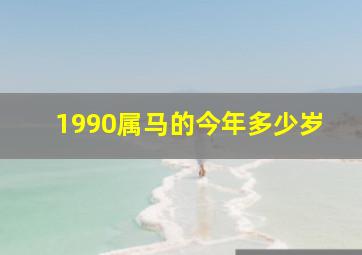 1990属马的今年多少岁