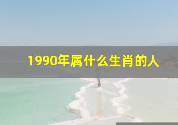 1990年属什么生肖的人