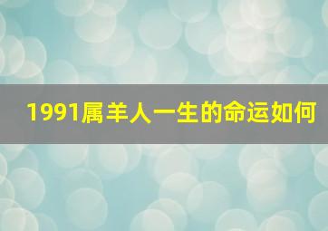 1991属羊人一生的命运如何