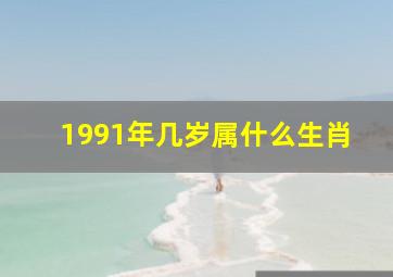 1991年几岁属什么生肖