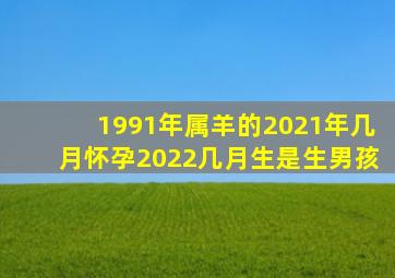 1991年属羊的2021年几月怀孕2022几月生是生男孩