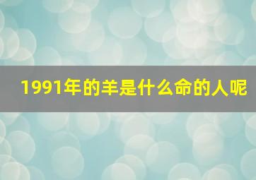 1991年的羊是什么命的人呢