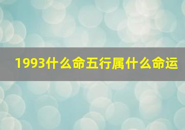 1993什么命五行属什么命运