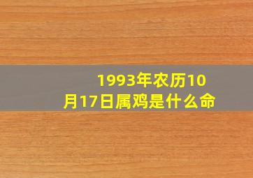 1993年农历10月17日属鸡是什么命