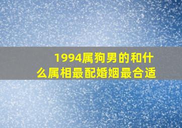 1994属狗男的和什么属相最配婚姻最合适