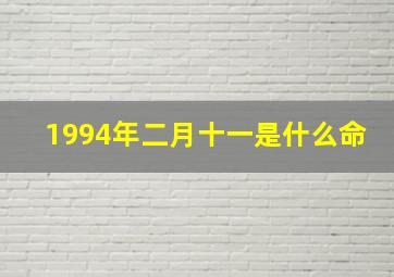 1994年二月十一是什么命