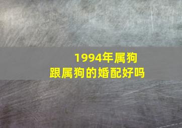 1994年属狗跟属狗的婚配好吗