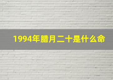 1994年腊月二十是什么命