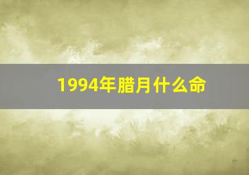 1994年腊月什么命