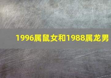 1996属鼠女和1988属龙男