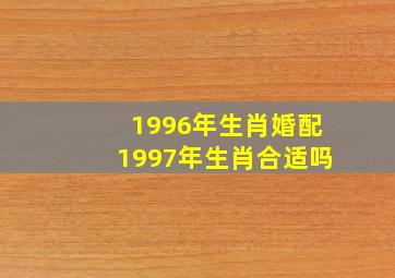 1996年生肖婚配1997年生肖合适吗