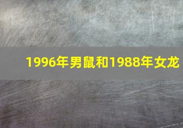 1996年男鼠和1988年女龙