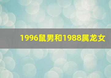 1996鼠男和1988属龙女