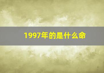 1997年的是什么命