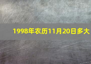 1998年农历11月20日多大