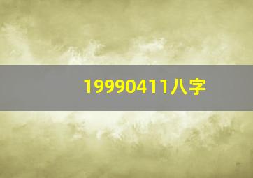 19990411八字