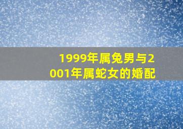 1999年属兔男与2001年属蛇女的婚配