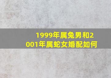 1999年属兔男和2001年属蛇女婚配如何