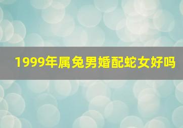 1999年属兔男婚配蛇女好吗