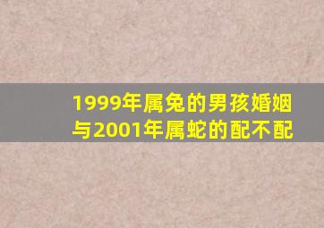 1999年属兔的男孩婚姻与2001年属蛇的配不配