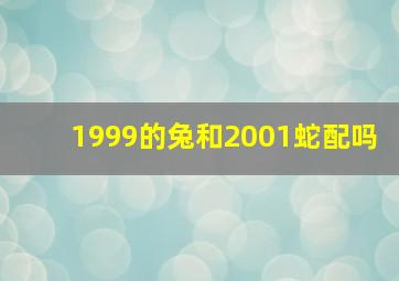 1999的兔和2001蛇配吗