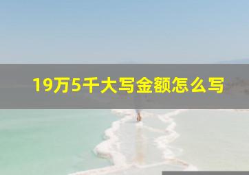 19万5千大写金额怎么写